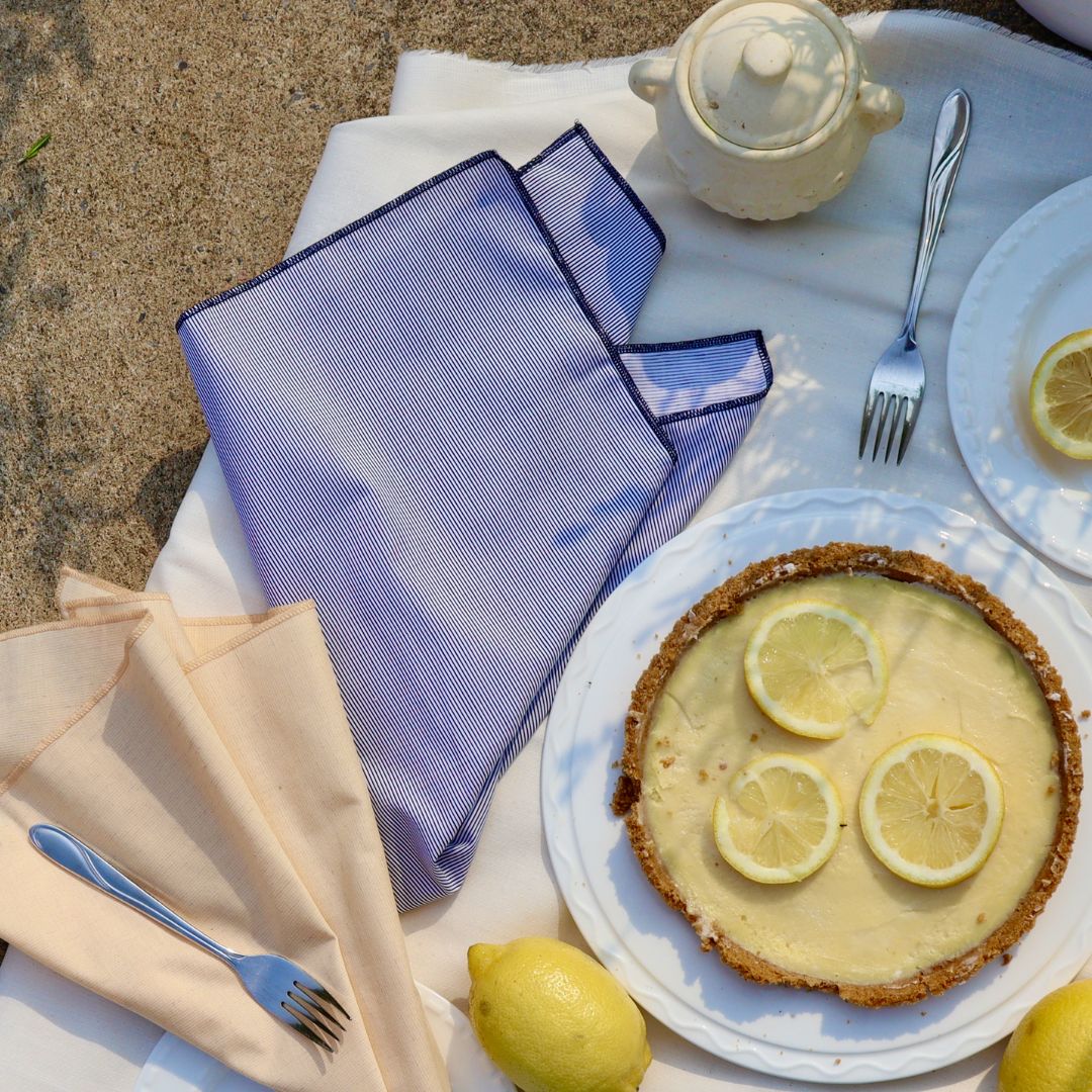 Cloth Napkins - Blue Striped