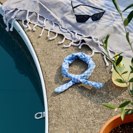 Foulard - Carreauté blanc et bleu